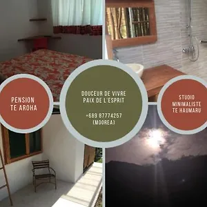 https://pension-te-maatea.frenchpolynesia-hotels.com