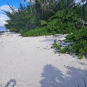 https://the-blue-pineapple-beach-house.frenchpolynesia-hotels.com